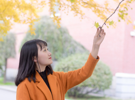 菲律宾旅游证(旅游签最新解析)